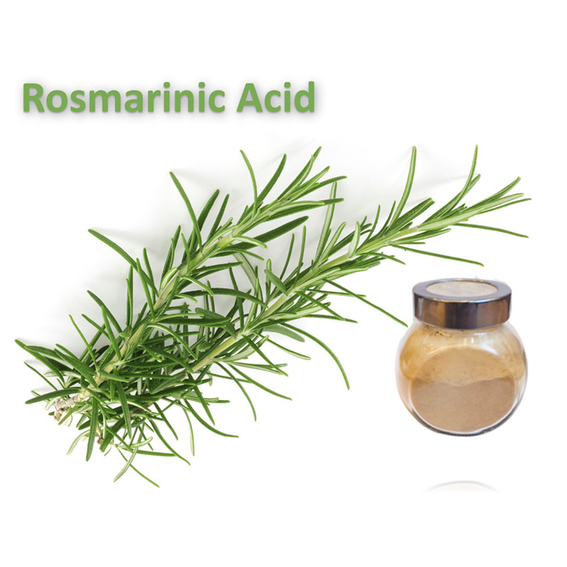 Rosmarinic Acid CAS 20283-92-5