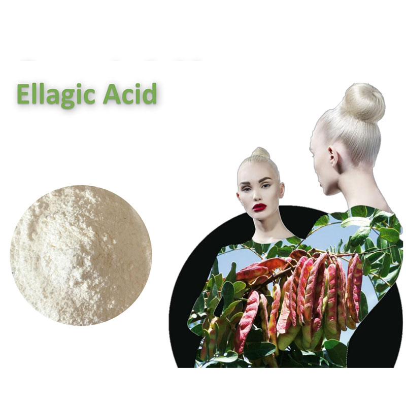 Ellagic Acid CAS 476-66-4