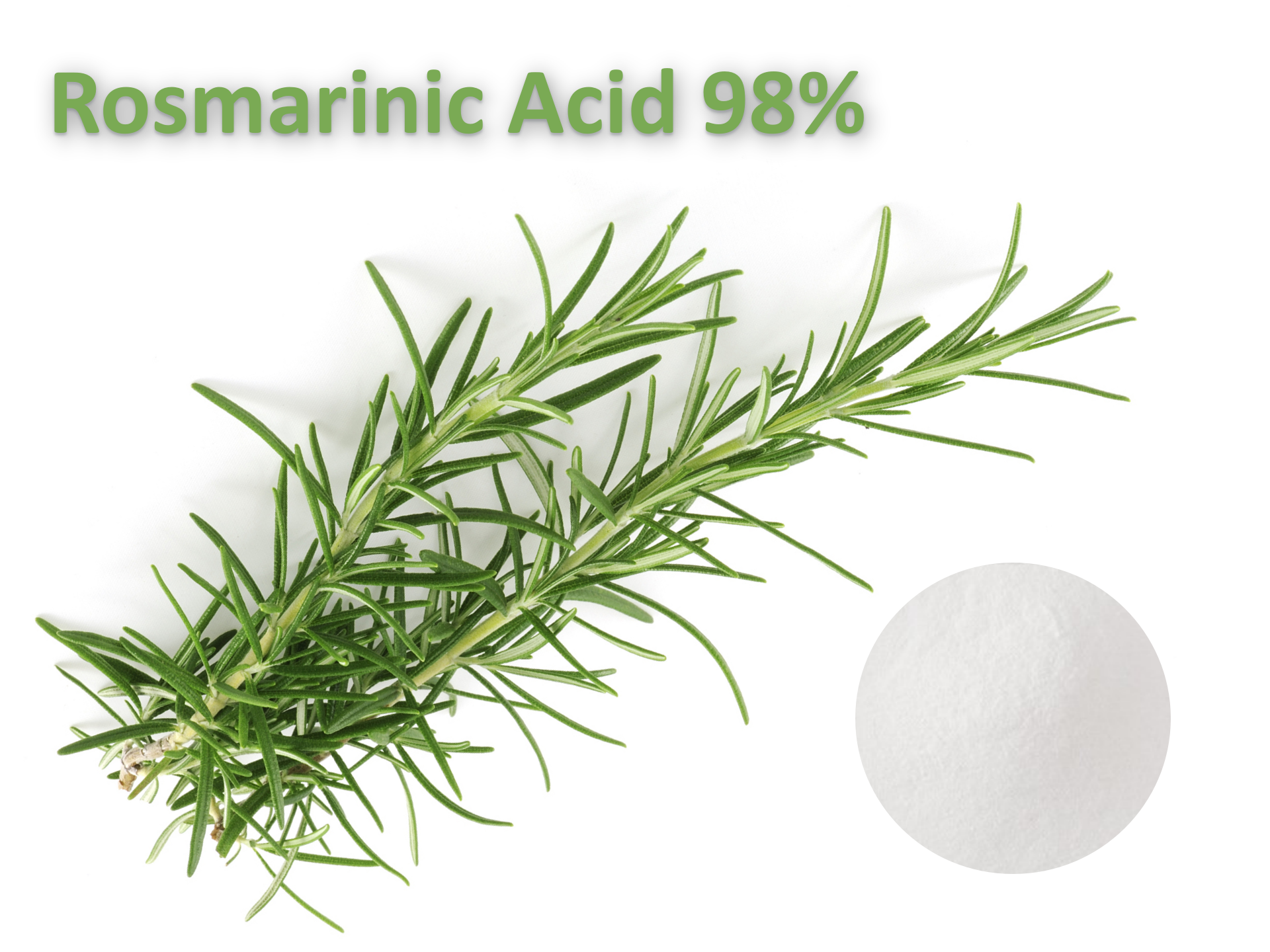Rosmarinic Acid 98%
