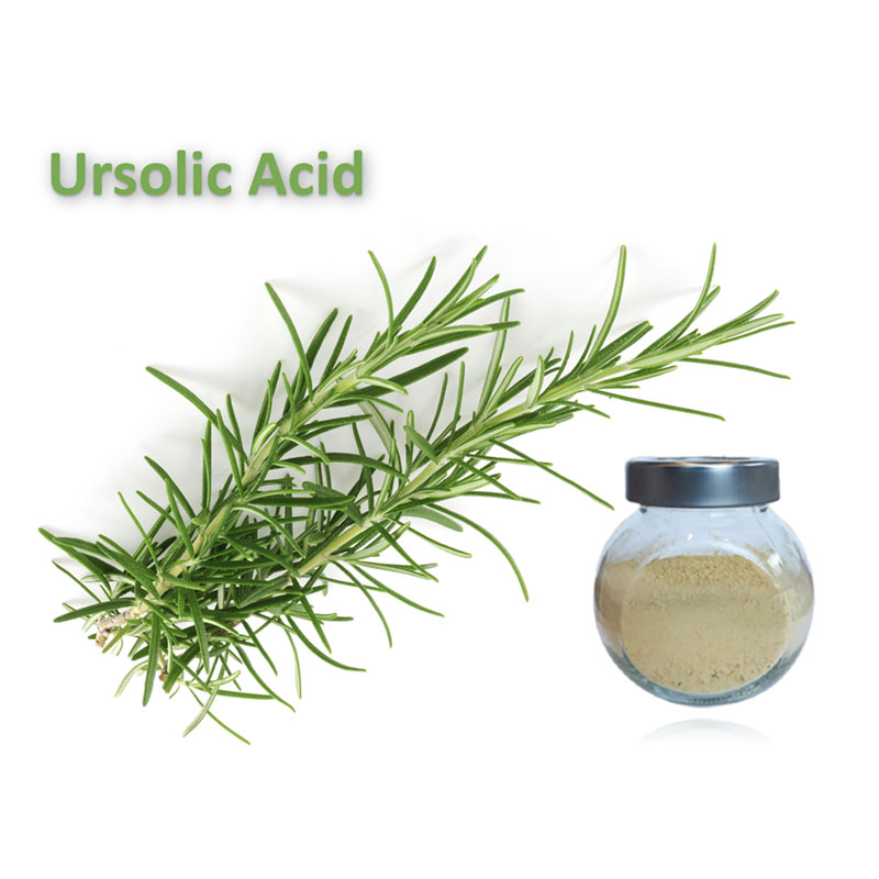 Ursolic Acid CAS 77-52-1